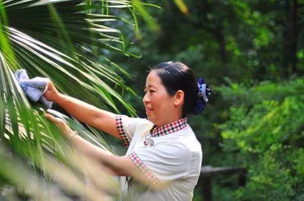 物业保洁服务 内容、礼仪与作业标准全面解析